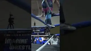 Fly Hippie Fly part 2 #imagine  #prowrestling  #wrestling