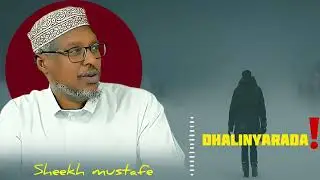 DHALINYARADA ❗️❗️ HAMIGA NOLOSHA ❗️❗️SHEEKH MUSTAFE @QalbiSame-r4l 