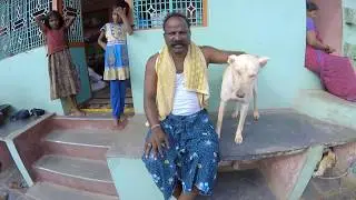 Video #5 (b): Breed Focus: The Pandikona Dog by Baarath Mani [Subtitles in English]