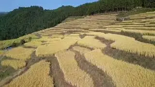 Oujia Terraces Oujia Village Taibao Town Lianshan Yao Autonomous County Qingyuan Guangdong China