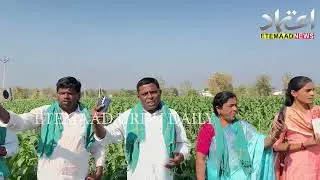 Adilabad: Farmers news protest, sent video message to Congress leader Rahul Gandhi