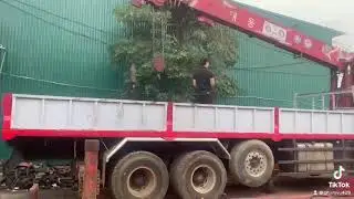 Huyndai trago cranners css700-19 ton