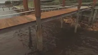 Dock Repair, New Dock Construction, Bulk Heads & More