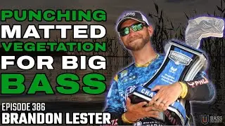 The Most Exciting Way to Catch Bass | Punching Matted Vegetation - Brandon Lester