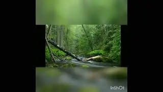 MY FIRST VIDEO.....     ABOUT BIOLOGY.... PART 1