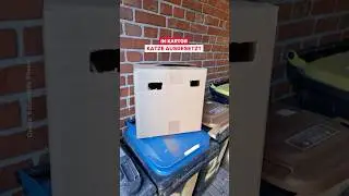 HERZLOS-DRAMA IN RHEINE: Katze im Karton wie M&uuml;ll entsorgt! 💔