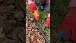 Аккумуляторные ножницы- мой любимый инструмент #свойдом #аккумуляторный #газонокосилка #бордюр