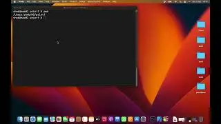Assembler ARM64 printf mit Xcode/gcc
