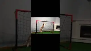 Michi portero no tendr&iacute;a oportunidad contra esos cracks⚽ 🧤😼 #messi #ronaldo #jamesrodriguez #futbol