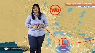 Weather Forecast for Aug 13: Heavy Monsoon rains in UP, MP, Uttarakhand, Bihar, light rain in Delhi