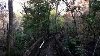 Muddy Creek Wetlands Management Area Hike - Theodore, AL (iPhone Live Slideshow)