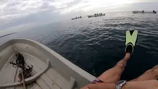 SWIMMING WITH DOLPHINS | ZANZIBAR | GoPro