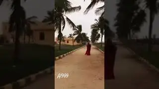 #bollywoodsongs #love #song #Beach #beachvibes #trending #viralvideo #middleeast #gulf