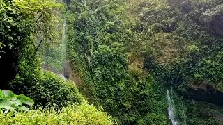 Calm River Sounds with Birds  Deep Sleep & Relaxation (10 Hours)