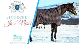 Pferd eindecken oder nicht? | Klaudia Skodnik