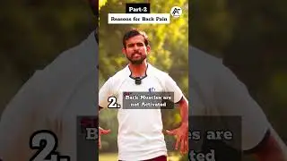 Reason of your BACK PAIN (part2) . All Fit Club