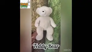 Show and Tell- Teddy Bear