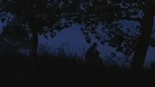 Killing Woods (2004)