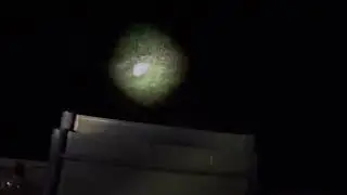 Screaming foxes at night &ldquo;most horrific sound from the woods
