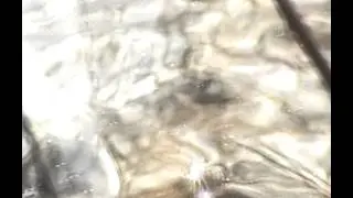 Water - Experimental Film #1 (on Clara Schumann's Music)