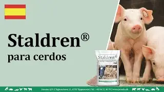 Staldren&reg; usage in pigsties (Espa&ntilde;ol) | JORENKU
