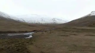 Hestar &iacute; rokinu