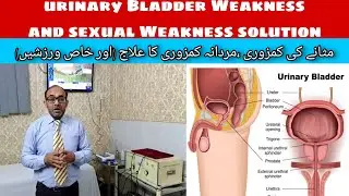 Urinary Bladder Weakness And sexual Weakness solution