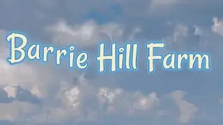 Blueberry picking at Barrie Hill Farm 🫐🩵🩵🩵#blueberry #adventure #travel