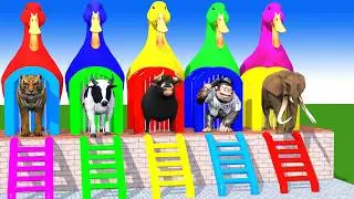 Long Slide Game With Cow Elephant Gorilla Hippopotamus Tiger 3d Animal Game Funny 3d Animals