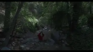 Copyright free video download 