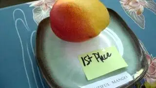 AGAT MANGO FESTIVAL