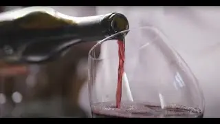 The Best Italian Wines Never Leave Italy... Until Now 🍷