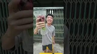 Quả lọ