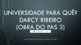 OBRA ANTIGA DO PAS 3 - ANÁLISE DA OBRA 