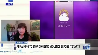 New app 'Bright Sky' looks to prevent domestic violence before it starts