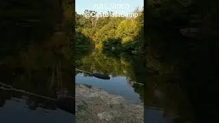 Santee Cooper Rig @ The Local Pond! Daily Dose Of Fishing ep.128 #shorts #fishing #youtubeshorts