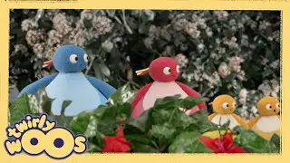 kaplama | Twirlywoos Türkçe | Çocuklar için Videolar