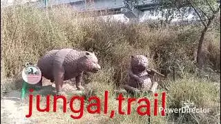 Jungal trail# Noida #parkसेकटर 44#महामाया फ्लाईओवर #