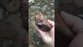 mookaite jasper, correct me if I'm wrong, please comment..😅
