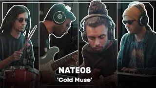 Nate08 - Cold Muse