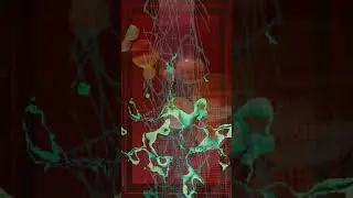 3/2/21 - Generative Music & Art #Shorts