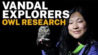 Vandal Explorers Owl Research