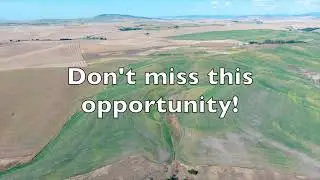 Agricultural and Development Land Auction near Pullman, WA
