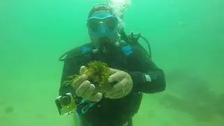 Pedro & Family Try Scuba w/ Mana Kai Divers