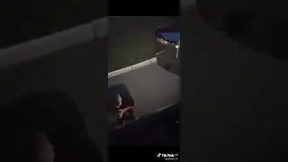 Республика "Шкид"
