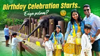 We are going to a special place-Just 2hours from KualaLumpur| Resort stay and celebration in forest