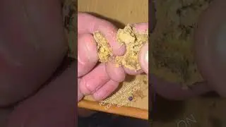 MOONROCKS in Amsterdam!