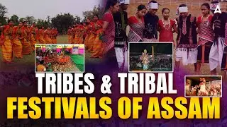 Tribes & Tribal Festivals of Assam| Art & Culture Of Assam | Adda247 Northeast