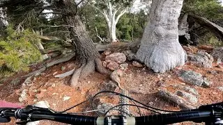 Majura Pines Mountain Biking (Rock Block trail) Mount Majura MTB 1440p