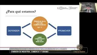 Comisión de Industria, Comercio y Turismo 26-12-2023